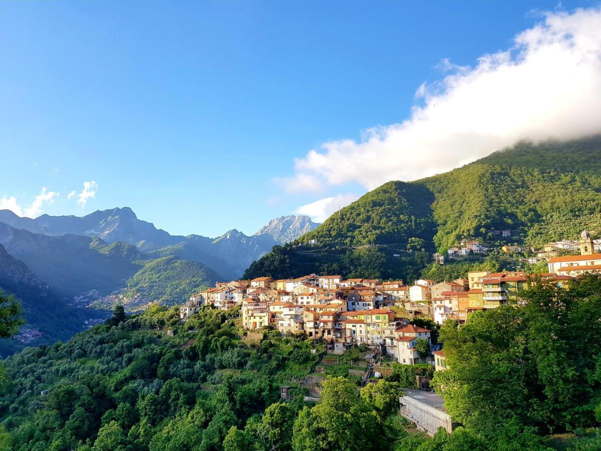 Holiday home La Torretta Delle Apuane